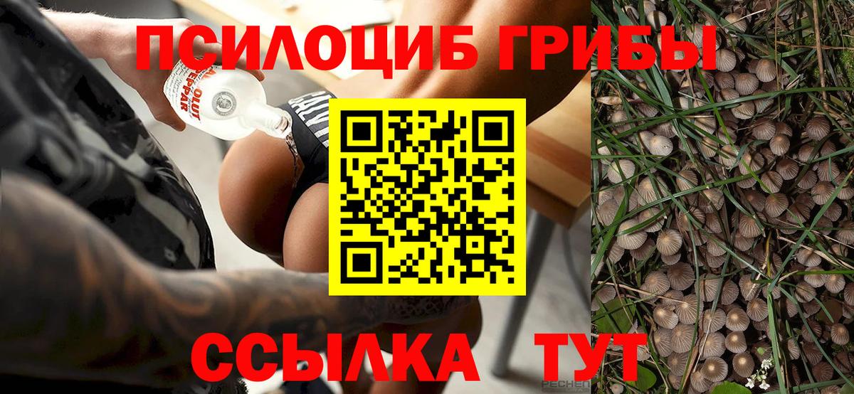 Псилоцибиновые грибы Psilocybe  Вход с VPN  Мыски  Псилоцибиновые грибы ЛСД 